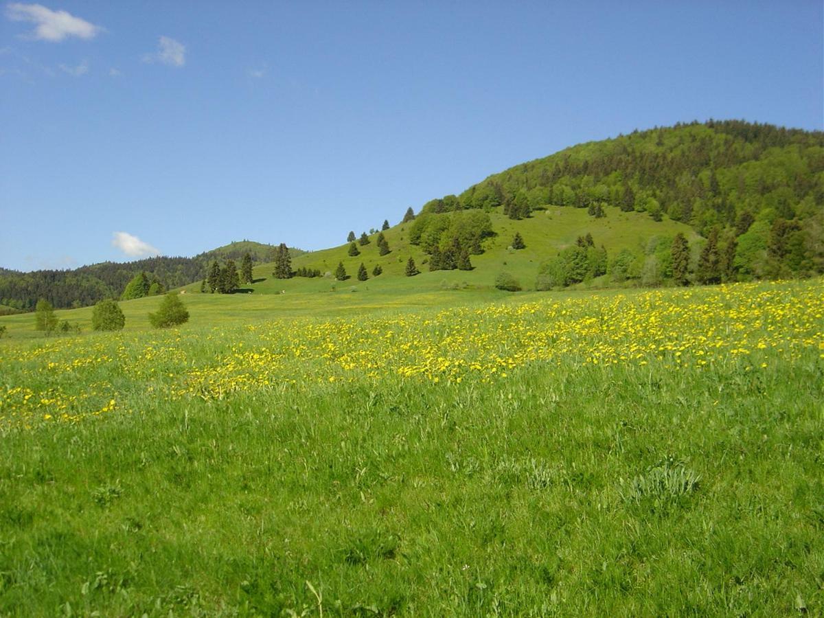 Ferienwohnungen Panoramablick Bernau im Schwarzwald Extérieur photo